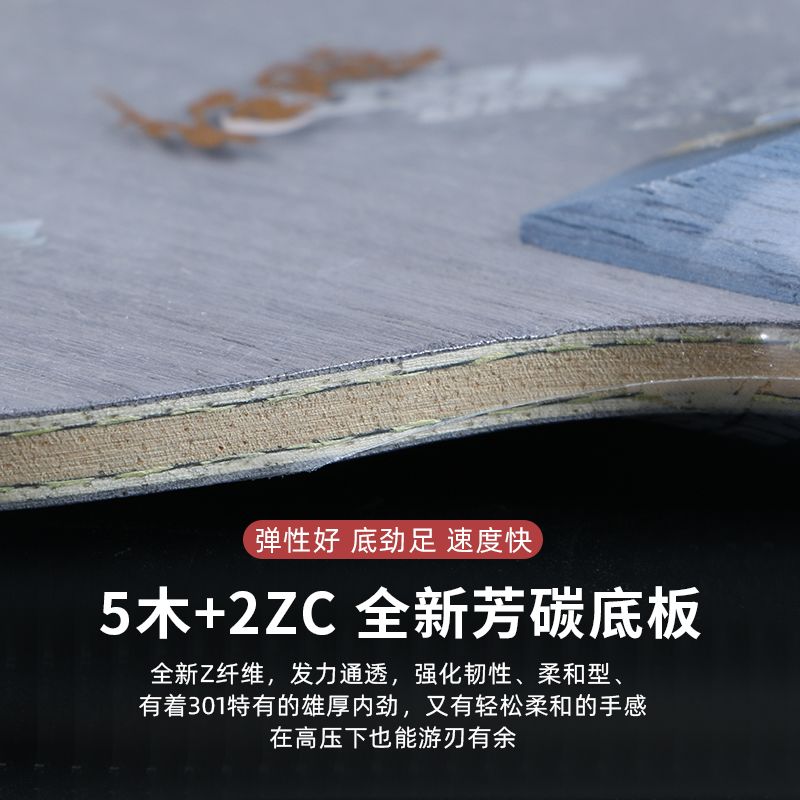 Original DHS Hurricane 301Z/30 - Table Tennis In Chinese 评论和价格